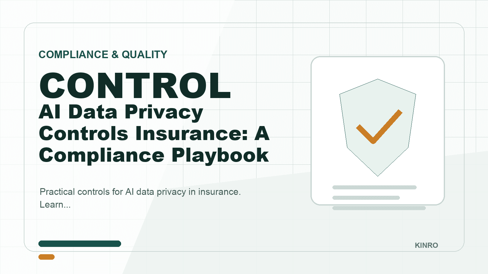AI Data Privacy Controls Insurance: A Compliance Playbook
