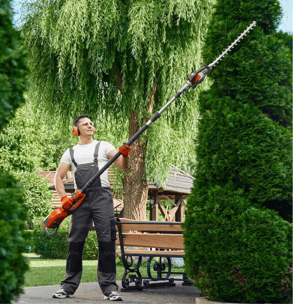 Lawn care crew member trimming trees with a pole hedge trimmer