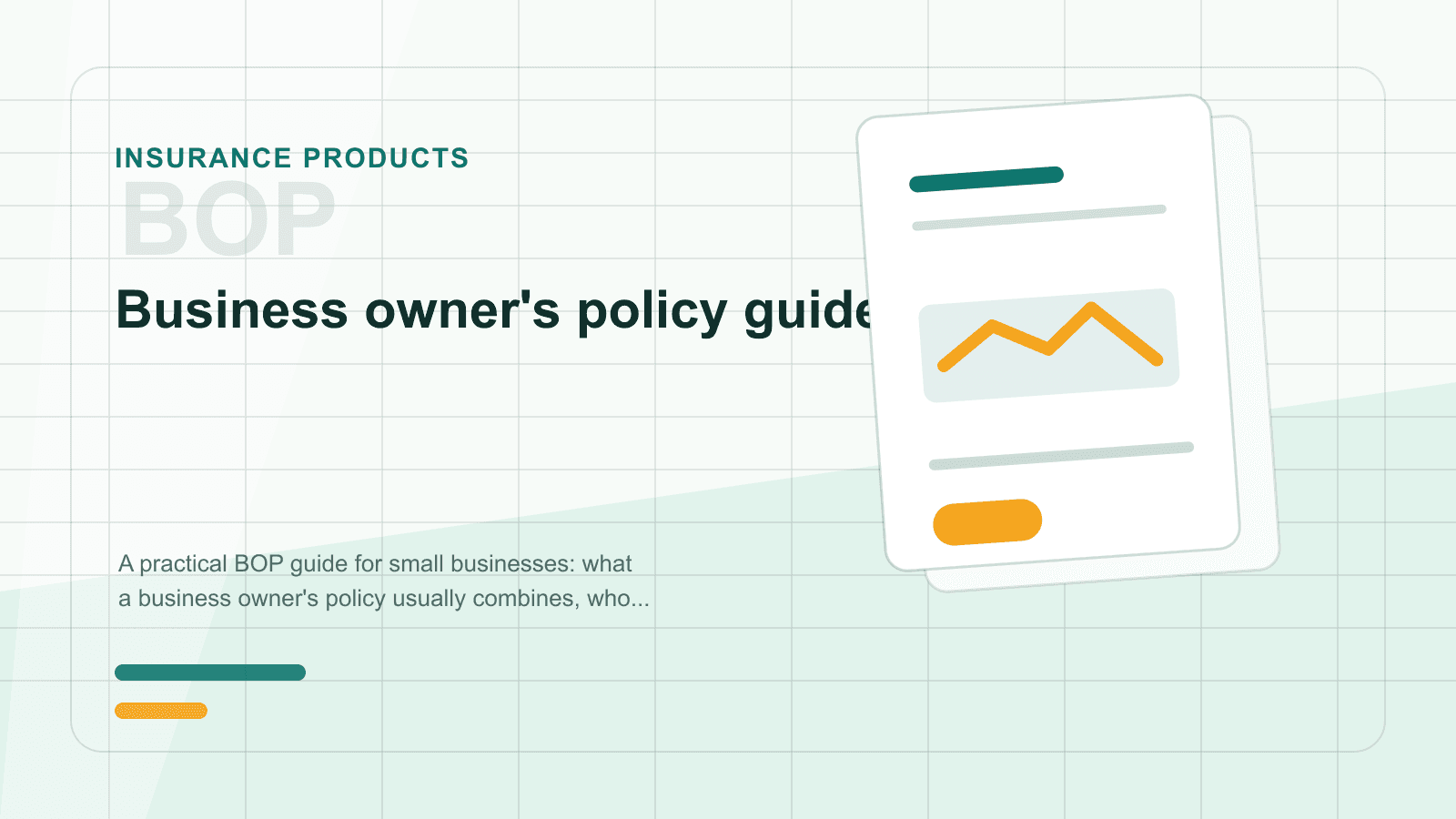 Business owner's policy guide