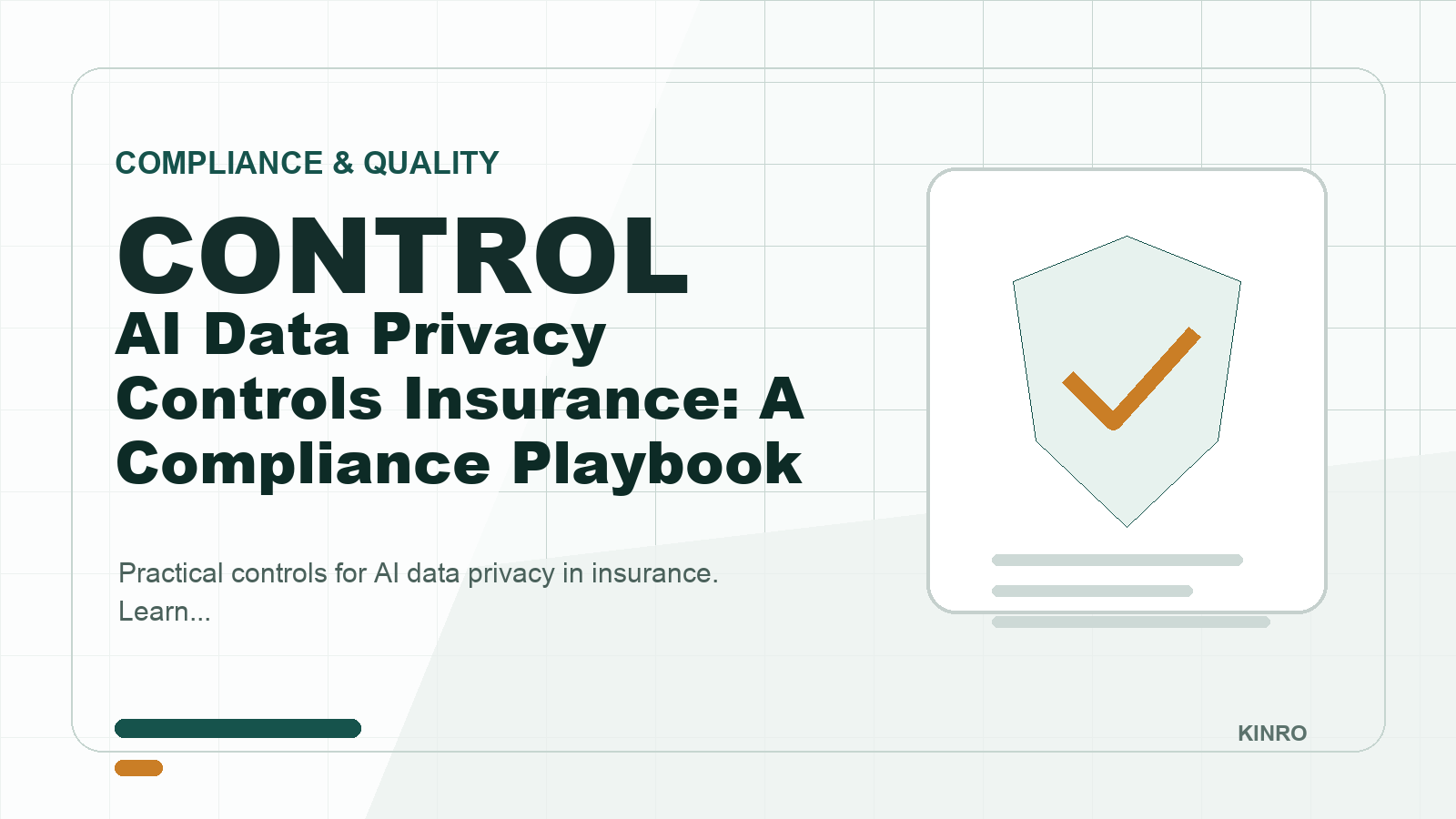 AI Data Privacy Controls Insurance: A Compliance Playbook